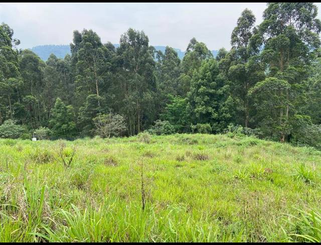 LAND FOR SALE IN MONTROSE